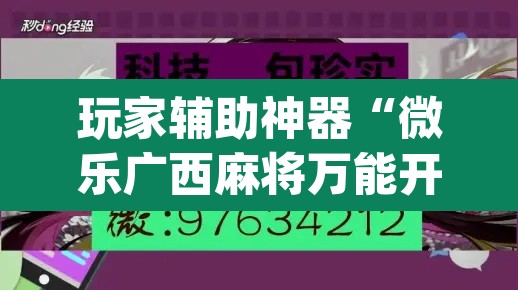 玩家辅助神器“微乐广西麻将万能开挂器”(透视)其实确实有挂