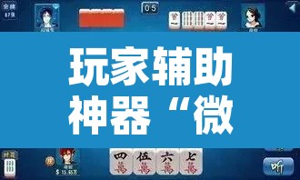 玩家辅助神器“微乐三丁拐麻将赢了抓鸡怎么算的”其实确实有挂