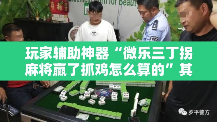 玩家辅助神器“微乐三丁拐麻将赢了抓鸡怎么算的”其实确实有挂