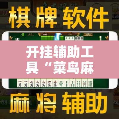 开挂辅助工具“菜鸟麻将开挂神器”附辅助神器开挂脚本详细步骤