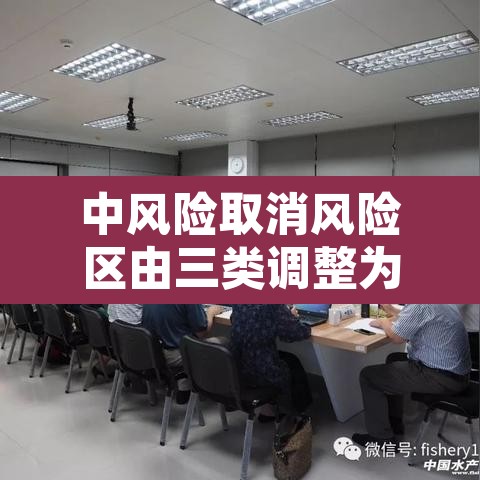 中风险取消风险区由三类调整为两类 → 由中风险调整为低风险的标准
