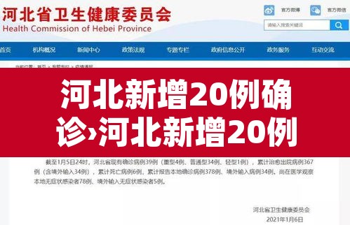 河北新增20例确诊›河北新增20例本土确诊一
