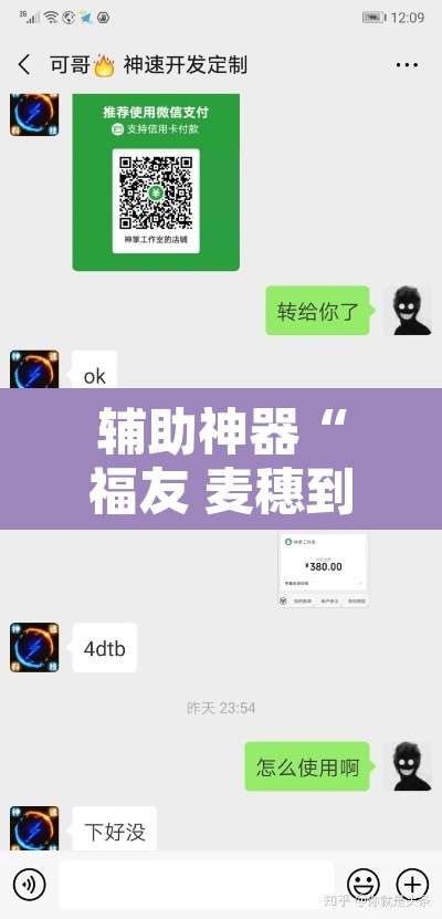辅助神器“福友 麦穗到底有挂吗”开挂辅助脚本+详细开挂安装教程