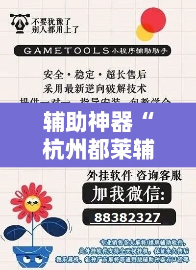 辅助神器“杭州都莱辅助器	”(透视挂)辅助透视教程