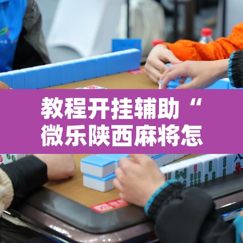 教程开挂辅助“微乐陕西麻将怎么提高胜率”其实确实有挂