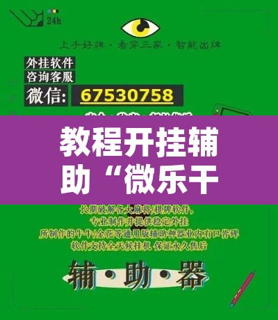 教程开挂辅助“微乐干瞪眼开挂作弊软件”其实确实有挂