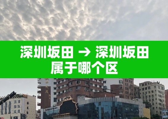 深圳坂田 → 深圳坂田属于哪个区