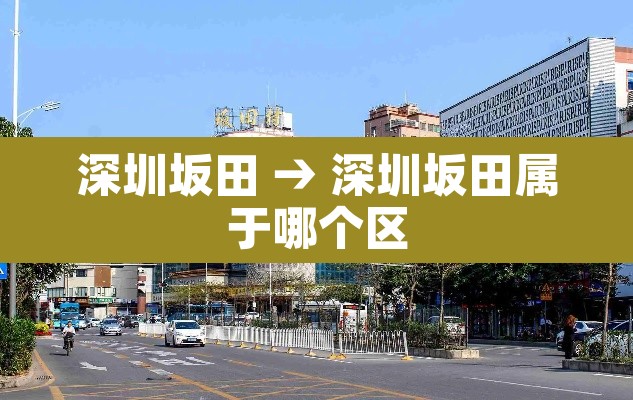 深圳坂田 → 深圳坂田属于哪个区