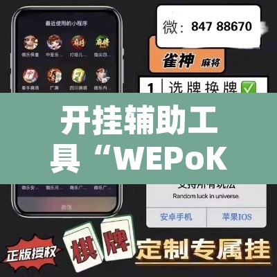 开挂辅助工具“WEPoKeR透视辅助器”(透视挂)辅助透视教程