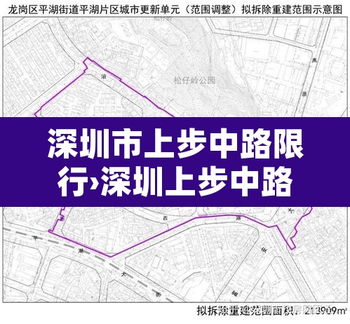 深圳市上步中路限行›深圳上步中路货车限行时间