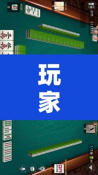 玩家辅助神器“中至二人麻将确实真的有挂	”其实确实有挂