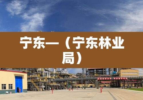 宁东—（宁东林业局）