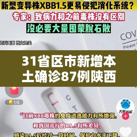 31省区市新增本土确诊87例陕西78例—（陕西新增1本土病例在哪个城市）