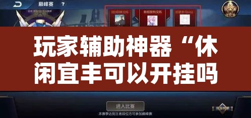 玩家辅助神器“休闲宜丰可以开挂吗”其实确实有挂
