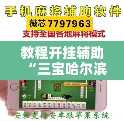 教程开挂辅助“三宝哈尔滨麻将辅助器工具”附辅助神器开挂脚本详细步骤