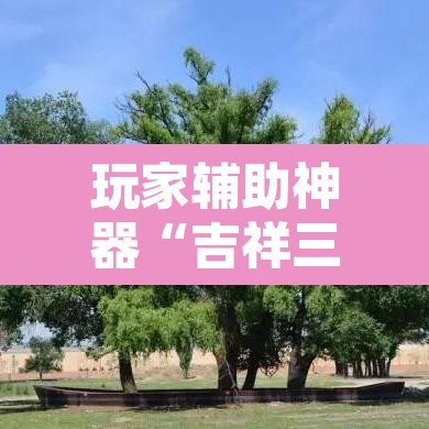 玩家辅助神器“吉祥三公透视是真的吗	”开挂辅助脚本+详细开挂安装教程