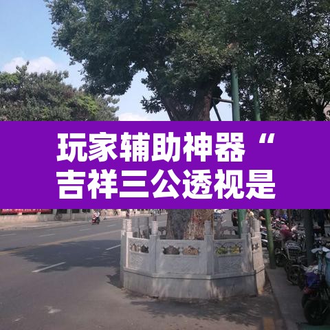 玩家辅助神器“吉祥三公透视是真的吗	”开挂辅助脚本+详细开挂安装教程
