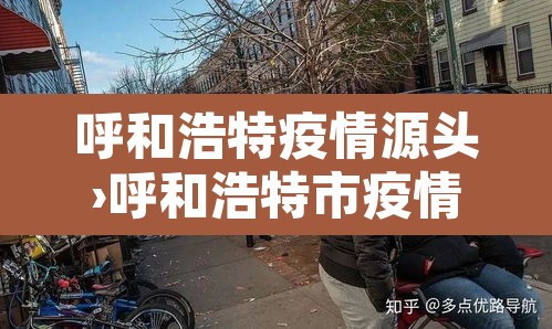 呼和浩特疫情源头›呼和浩特市疫情源头