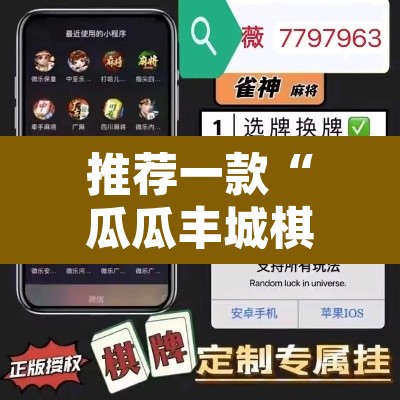 推荐一款“瓜瓜丰城棋牌挂怎么安装”开挂辅助脚本+详细开挂安装教程