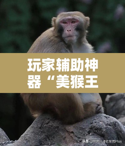 玩家辅助神器“美猴王大厅是不是有挂吗	”其实确实有挂