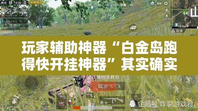 玩家辅助神器“白金岛跑得快开挂神器”其实确实有挂