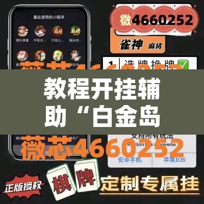 教程开挂辅助“白金岛跑胡子破解版	”附辅助神器开挂脚本详细步骤