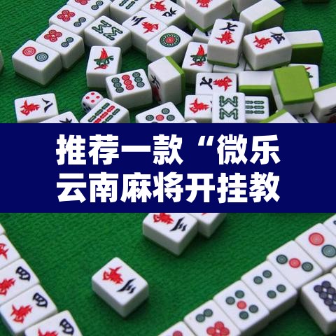 推荐一款“微乐云南麻将开挂教程”开挂辅助脚本+详细开挂安装教程