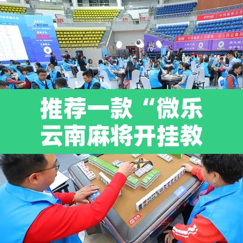 推荐一款“微乐云南麻将开挂教程	”开挂辅助脚本+详细开挂安装教程