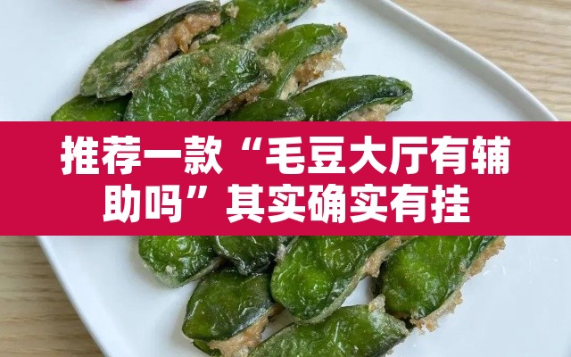 推荐一款“毛豆大厅有辅助吗”其实确实有挂