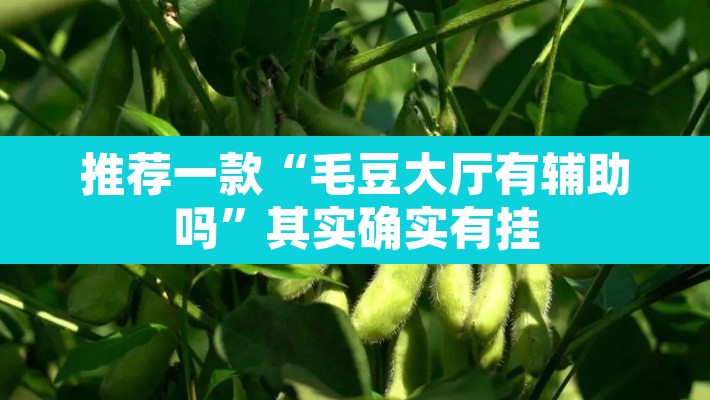 推荐一款“毛豆大厅有辅助吗”其实确实有挂