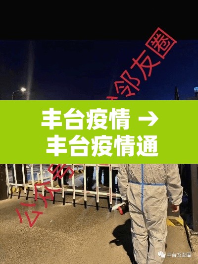 丰台疫情 → 丰台疫情通报