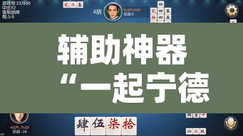 辅助神器“一起宁德游戏辅助器”其实确实有挂