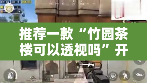 推荐一款“竹园茶楼可以透视吗”开挂辅助脚本+详细开挂安装教程