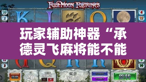 玩家辅助神器“承德灵飞麻将能不能开挂	”其实确实有挂