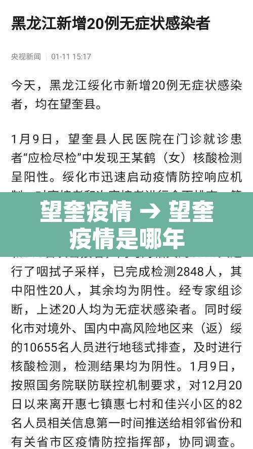 望奎疫情 → 望奎疫情是哪年