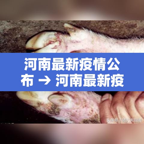 河南最新疫情公布 → 河南最新疫情病例