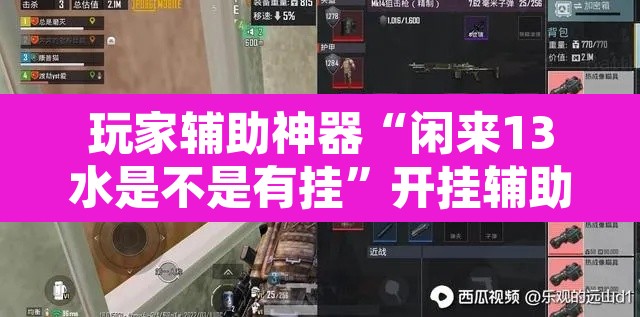 玩家辅助神器“闲来13水是不是有挂	”开挂辅助脚本+详细开挂安装教程