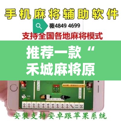 推荐一款“禾城麻将原来可以开挂”(透视)其实确实有挂