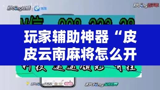 玩家辅助神器“皮皮云南麻将怎么开挂	”(透视)其实确实有挂