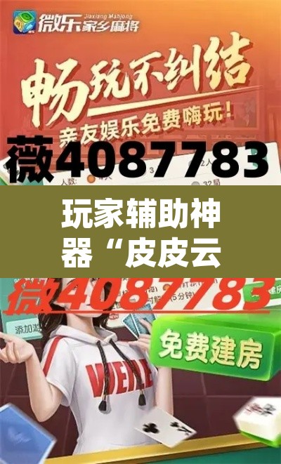 玩家辅助神器“皮皮云南麻将怎么开挂”(透视)其实确实有挂