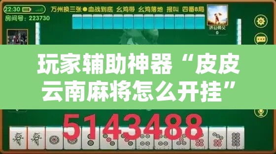 玩家辅助神器“皮皮云南麻将怎么开挂”(透视)其实确实有挂