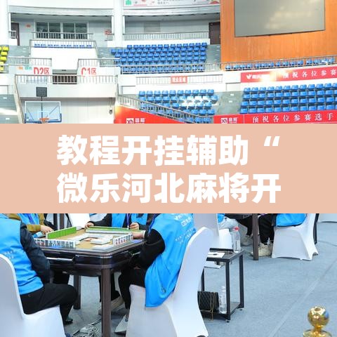 教程开挂辅助“微乐河北麻将开挂免费下载”其实确实有挂