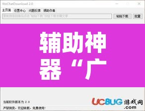 辅助神器“广西八一字牌透视软件”开挂辅助脚本+详细开挂安装教程