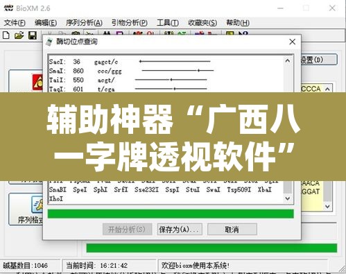 辅助神器“广西八一字牌透视软件”开挂辅助脚本+详细开挂安装教程