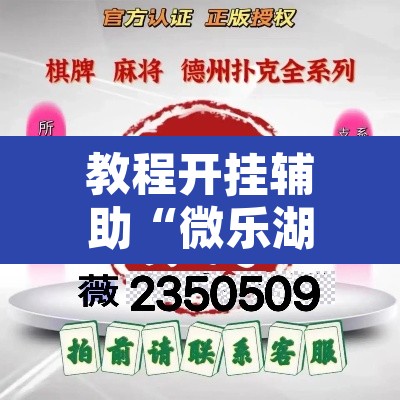 教程开挂辅助“微乐湖北麻将小程序怎么开挂	”其实确实有挂