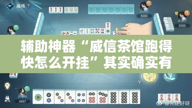 辅助神器“威信茶馆跑得快怎么开挂”其实确实有挂