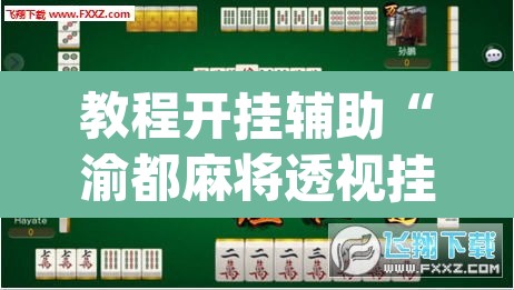 教程开挂辅助“渝都麻将透视挂外挂”(透视)其实确实有挂