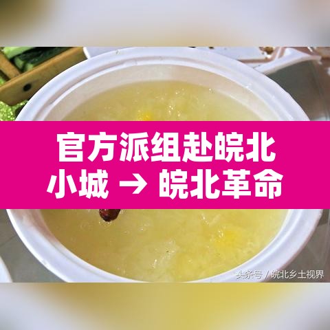 官方派组赴皖北小城 → 皖北革命遗址