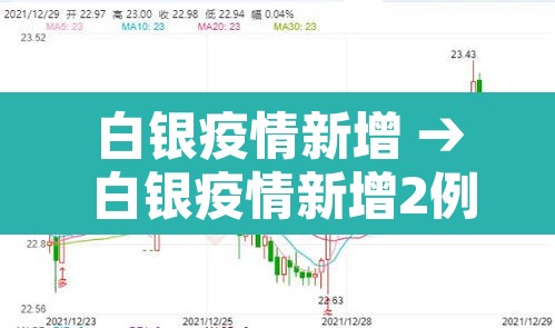 白银疫情新增 → 白银疫情新增2例