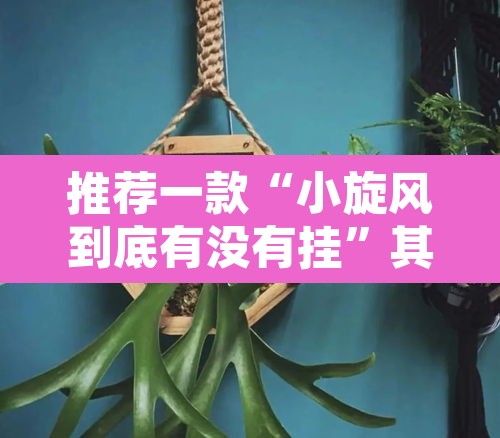 推荐一款“小旋风到底有没有挂	”其实确实有挂